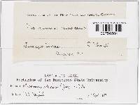 Image Associated With the Occurrence