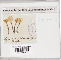 Image Associated With the Occurrence