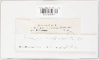 Thumbnail image of current specimen