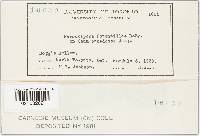 Image Associated With the Occurrence