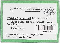 Image Associated With the Occurrence