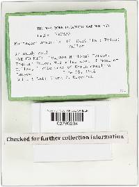 Image Associated With the Occurrence