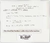 Image Associated With the Occurrence