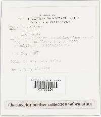 Image Associated With the Occurrence