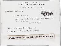 Image Associated With the Occurrence