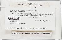 Image Associated With the Occurrence