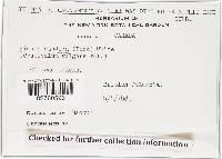 Image Associated With the Occurrence