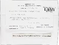 Image Associated With the Occurrence