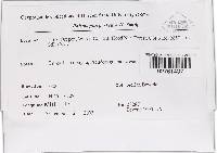 Image Associated With the Occurrence