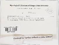 Image Associated With the Occurrence
