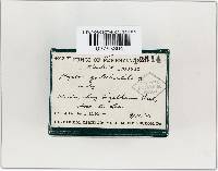 Image Associated With the Occurrence