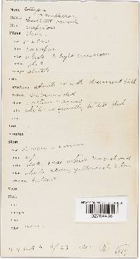 Image Associated With the Occurrence