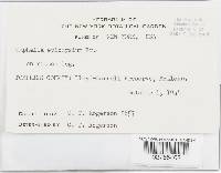 Image Associated With the Occurrence