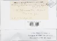 Image Associated With the Occurrence