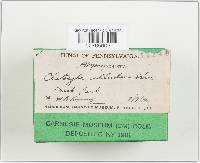 Image Associated With the Occurrence