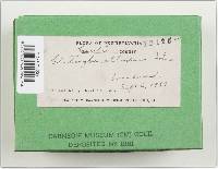 Image Associated With the Occurrence