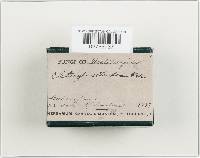 Image Associated With the Occurrence