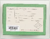 Image Associated With the Occurrence