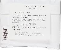 Mucor hiemalis image