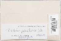 Image Associated With the Occurrence