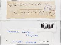 Image Associated With the Occurrence