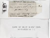 Image Associated With the Occurrence