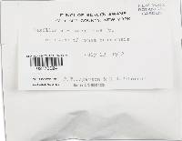 Tapinella atrotomentosa image