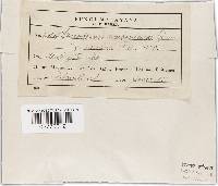 Thumbnail image of current specimen