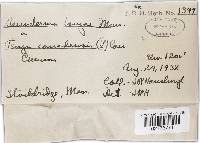 Image Associated With the Occurrence