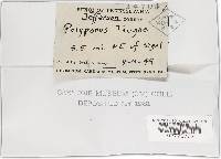 Image Associated With the Occurrence