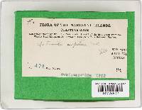 Thumbnail image of current specimen
