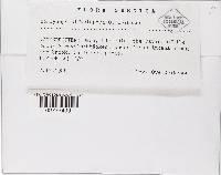 Media resource of Cordyceps bifusispora