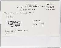 Image Associated With the Occurrence