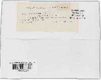 Image Associated With the Occurrence