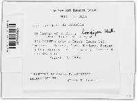 Image Associated With the Occurrence