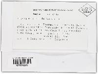 Image Associated With the Occurrence