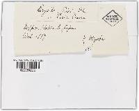 Image Associated With the Occurrence