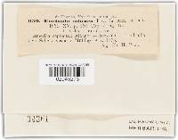 Image Associated With the Occurrence