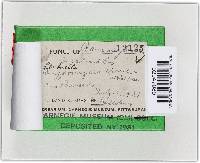 Image Associated With the Occurrence