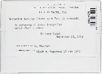 Image Associated With the Occurrence