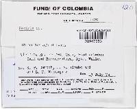 Media resource of Bionectria impariphialis