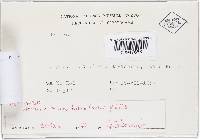 Image Associated With the Occurrence