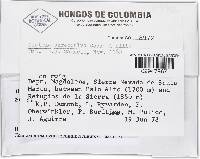 Image Associated With the Occurrence