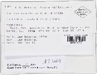 Image Associated With the Occurrence