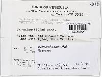 Image Associated With the Occurrence