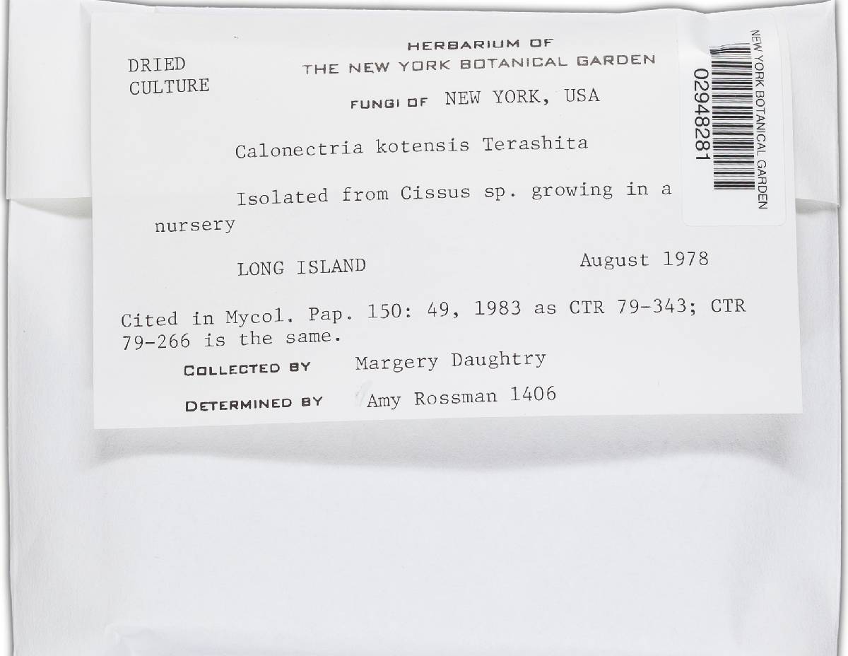 Calonectria kyotensis image