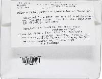 Image Associated With the Occurrence