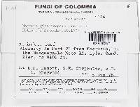 Image Associated With the Occurrence