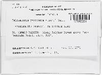 Image Associated With the Occurrence