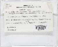 Image Associated With the Occurrence